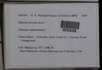 Image Associated With the Occurence